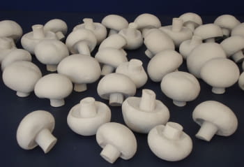 Mushrooms